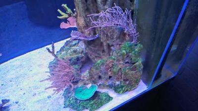 IMG_20251026_194004_HDR~2.jpg