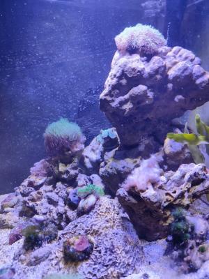 photo_2025-10-14_19-04-48 (4).jpg