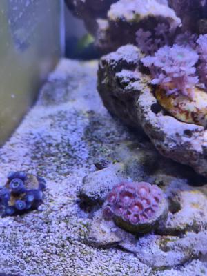 photo_2025-10-14_19-19-30 (3).jpg