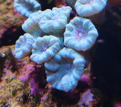 1706710011902 1.jpg