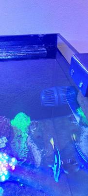 20251009_212551.jpeg