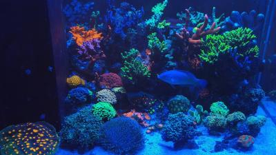 IMG_20251012_215304.jpg