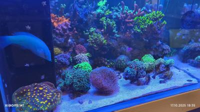 IMG_20251017_183555.jpg