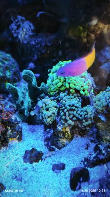 IMG_20251016_102840.jpg