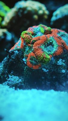 IMG_20251012_234436.jpg