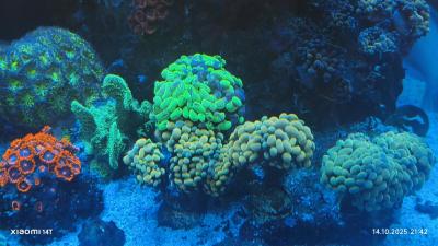 IMG_20251014_214258.jpg