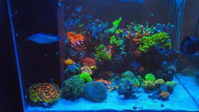 IMG_20251012_220306.jpg