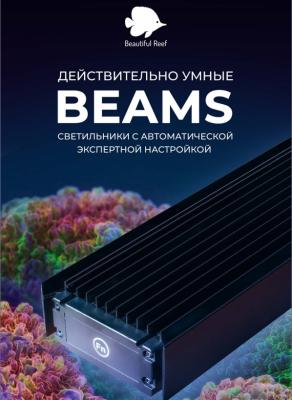 BEAMS 2 R.jpg