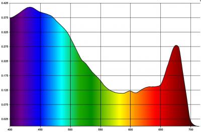Спектр поглощения зооксантелл.jpg