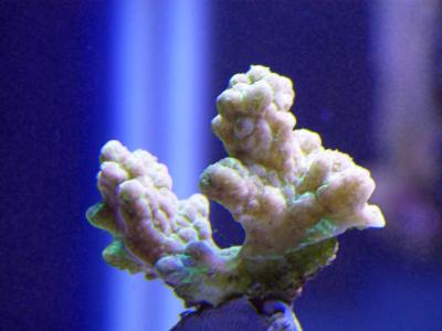 P1100576.jpg
