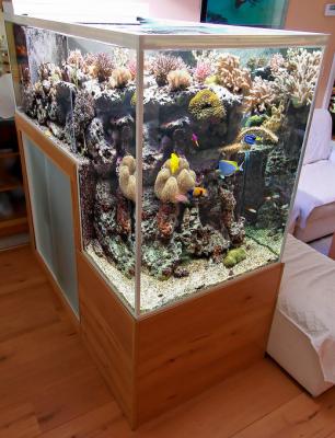 dropoff-reef-aquarium-3.jpg