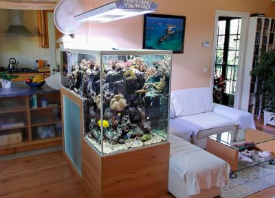 dropoff-reef-aquarium-2.jpg