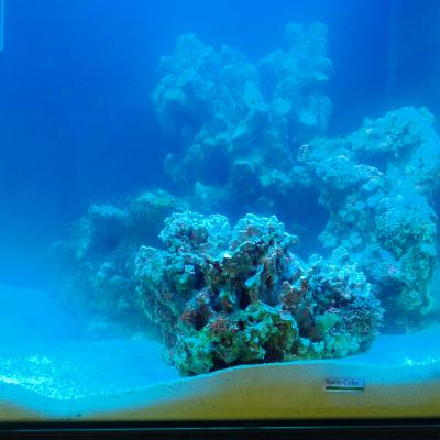 доложил ЖК с колес 15.11.JPG