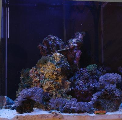 запуск 20.03.jpg