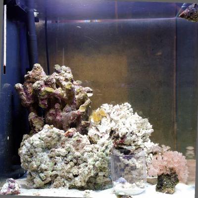 запуск 20.02.jpg