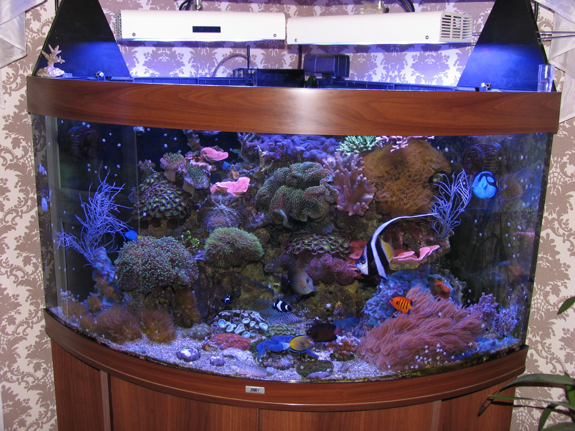 Морской аквариум с крышкой