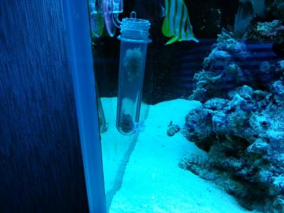 20131113_204051.jpg