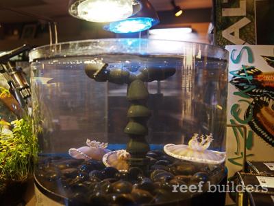 aquatouch-aquariums-4.jpg