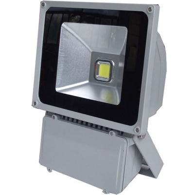 pl1534445-portable_bridgelux_cob_100w_muti_color_led_projector_lights_7860lm_8950lm_high_lumen.jpg