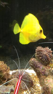 2014-11-11 20.02.35.jpg