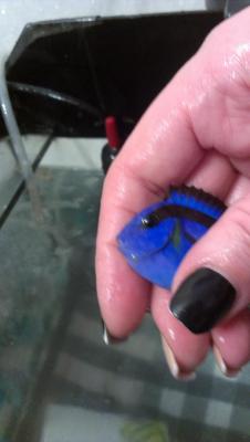 2014-11-28 20.33.35.jpg