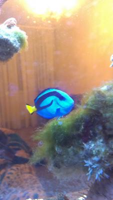 2014-10-27 17.20.33.jpg