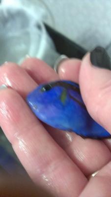 2014-11-28 19.38.51.jpg