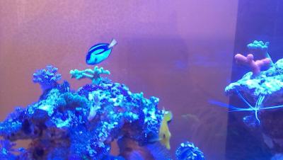 2014-11-16 09.04.34.jpg