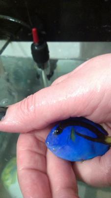 2014-11-28 20.32.19.jpg