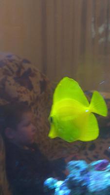 2014-11-16 13.20.52.jpg