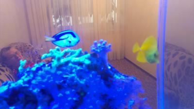 2014-11-16 09.03.58.jpg