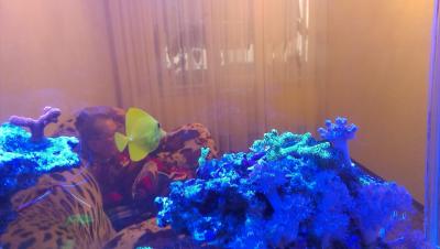 2014-11-16 09.04.20.jpg