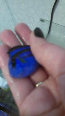 2014-11-28 19.37.48.jpg