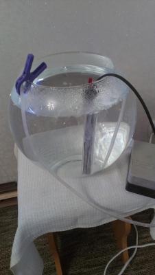 2014-11-16 13.04.12.jpg