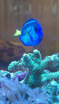 2014-11-16 13.21.03.jpg