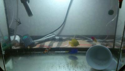 2014-11-24 19.15.07.jpg