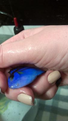 2014-11-28 20.32.41.jpg