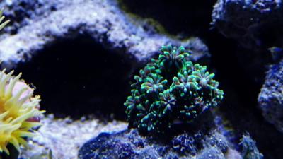 PB150748.JPG