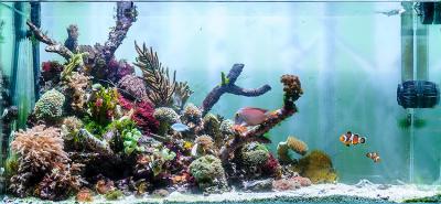 fts (5).jpg