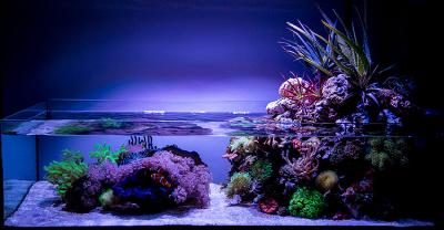 fts (1).jpg