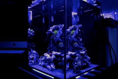 _MG_3873 2.jpg