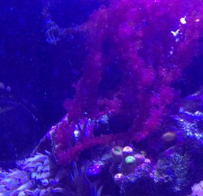 2015-11-05 17-31-00.JPG