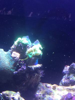 IMG_5383.JPG