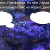 20 Камень с нефтией.jpg