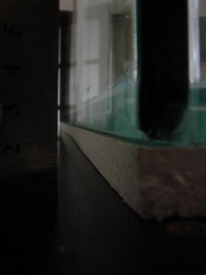 DSC05604.JPG