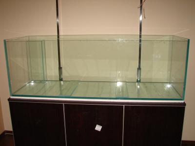 DSC05694.JPG