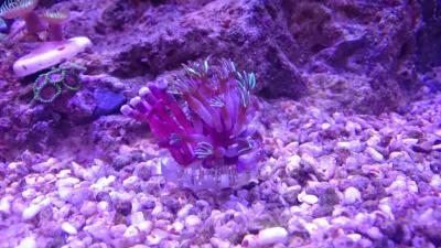 IMG_1292.JPG