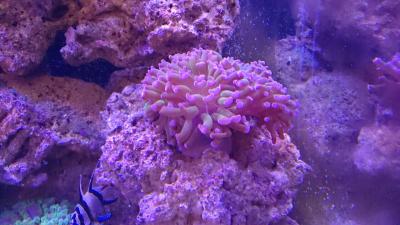 IMG_1294.JPG