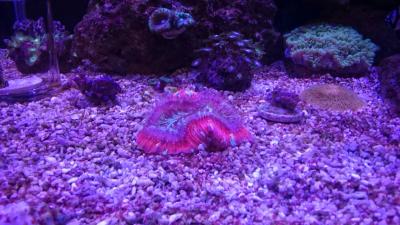 IMG_1289.JPG