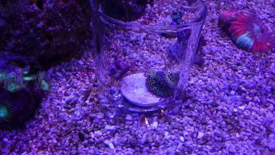 IMG_1295.JPG